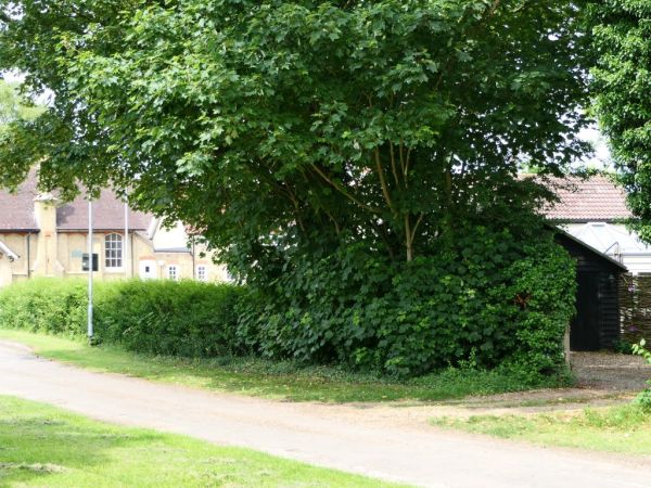 p1040611web p1040611web