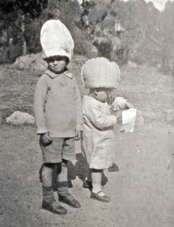 p25 gj teacosies web